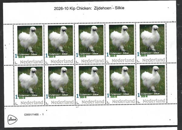 Nederland 2026-10   Kip Chicken: Zijdehoen Silkie  sheetlet   postfris