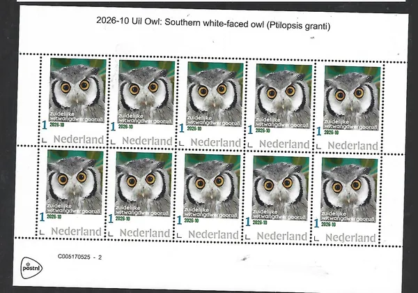 Nederland 2026-10 Uil Owl: Southern white-faced owl SHEETLETpostfris/mnh