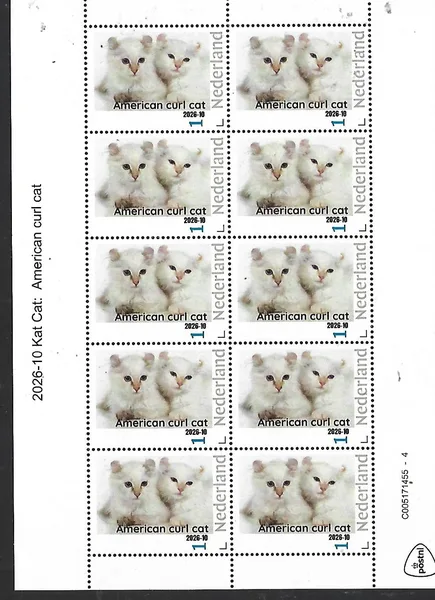 Nederland 2026-10 Kat Cat: American curl cat SHEET postfris/mnh