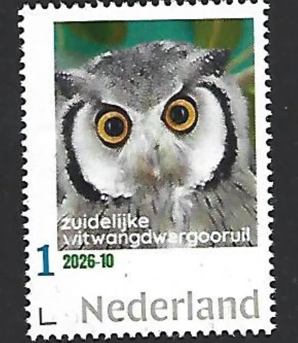 Nederland 2026-10 Uil Owl: Southern white-faced owl postfris/mnh