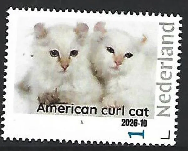 Nederland 2026-10 Kat Cat: American curl cat postfris/mnh