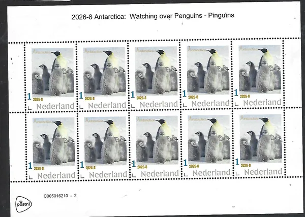 Nederland 2026-8 Antarctica: Pinguïns Penguins watching over chicks sheet postfris/mnh