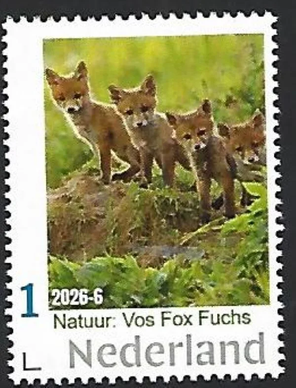 Nederland 2026-6 Natuur Nature: Vos Fox postfris/mnh