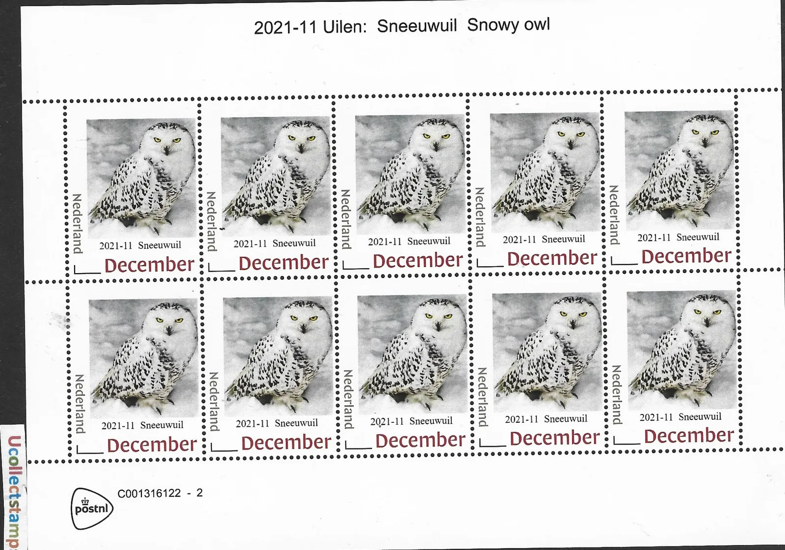 Netherlands 2026-9 Owl: Snowy Owl SHEET MNH