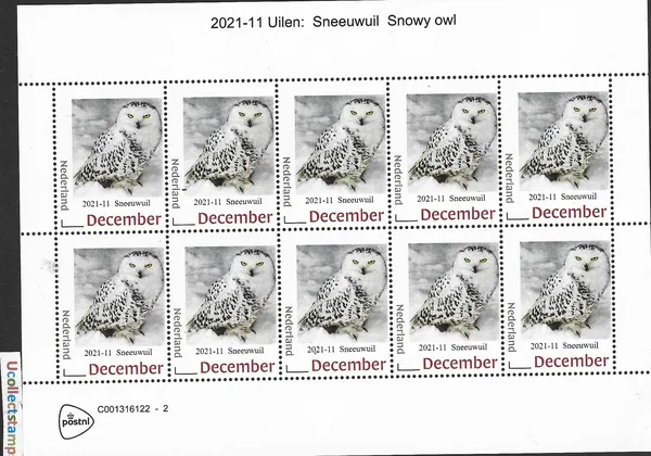 Nederland 2026-9 Uil- Owl: Sneeuwuil Snowy owl SHEET postfris/mnh