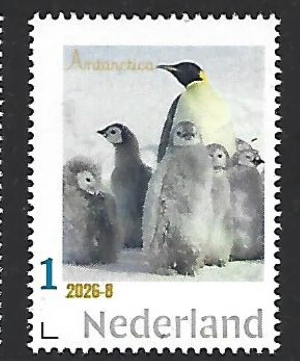 Netherlands 2026-8 Antarctica: Penguins watching over chicks MNH