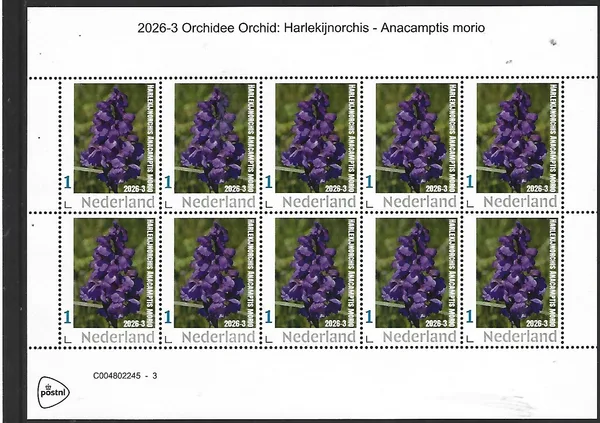 Netherlands 2026-3 Orchid Orchids: Green-winged Orchid Anacamptis morio sheet MNH