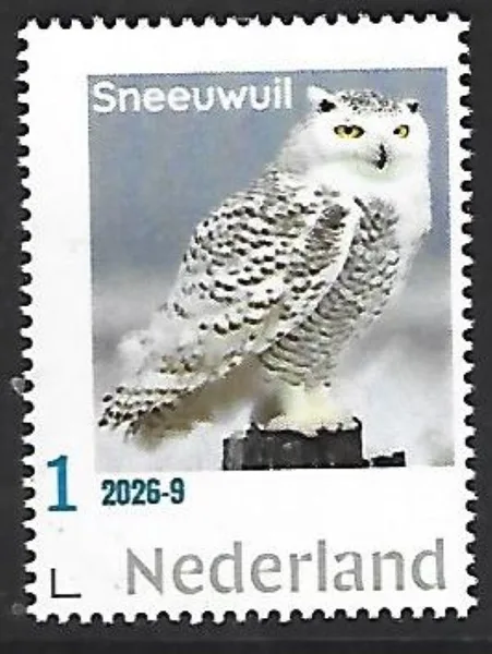 Nederland 2026-9 Uil- Owl: Sneeuwuil Snowy owl postfris/mnh