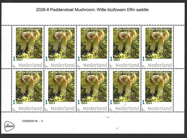Netherlands 2026-8 Mushroom: Witte Kluifzwam sheet MNH