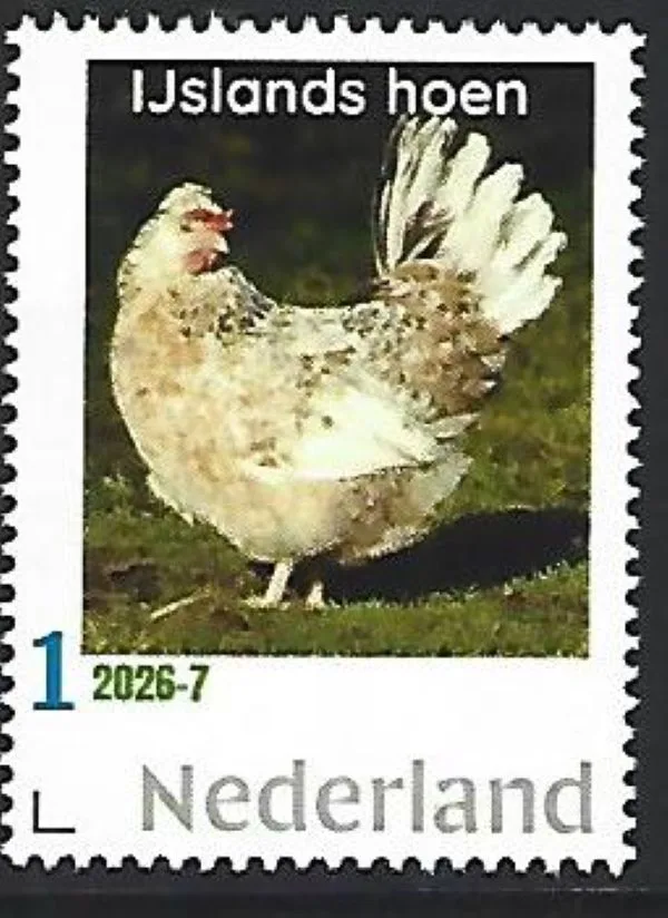Nederland 2026-7 Kip Chicken: IJlands hoen Icelandic chicken postfris/mnh