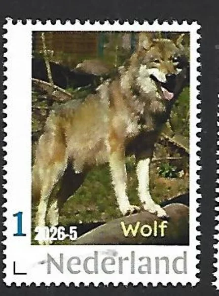 Netherlands 2026-5 Nature: Wolf MNH