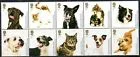 2010 Honden en Katten - Dogs and Cats postfris
