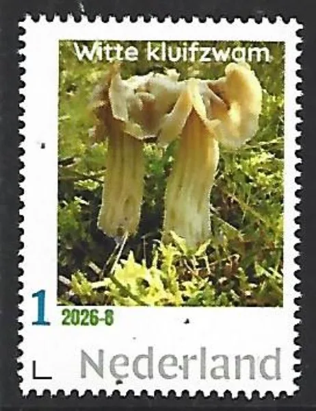 Netherlands 2026-8 Mushroom: Porcelain Fungus MNH