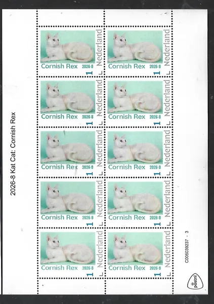 Nederland 2026-8 Kat Cat: Cornish rex sheet postfris/mnh