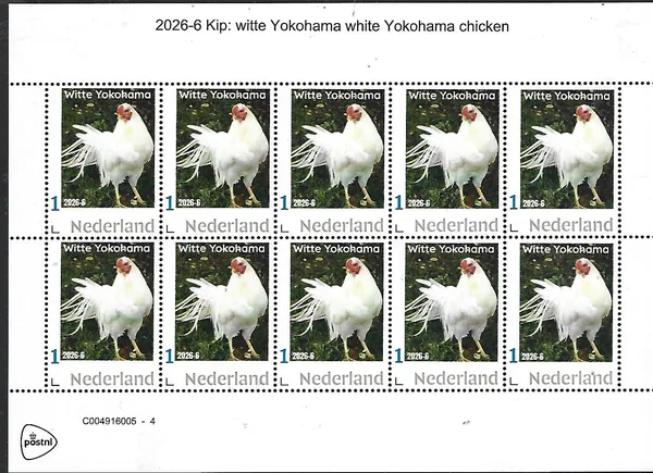 Nederland 2026-6 Kip Chicken: Witte Yokohama sheet postfris/mnh