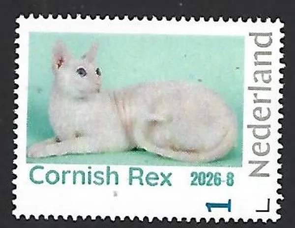 Nederland 2026-8 Kat Cat: Cornish rex postfris/mnh