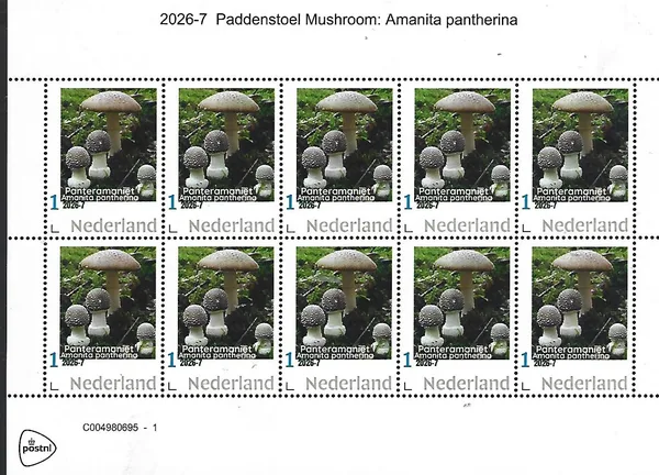 Nederland 2026-7 Paddenstoel Mushroom: Amanita pantheria sheetlet postfris/mnh