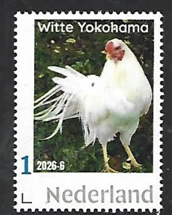 Netherlands 2026-6 Chicken: White Yokohama MNH