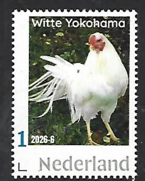 Netherlands 2026-6 Chicken: White Yokohama MNH