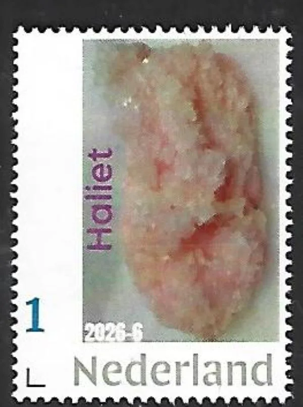 Nederland 2026-6 Mineraal Mineral: Haliet Halite Searles lake USA postfris/mnh