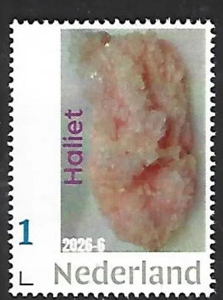 Netherlands 2026-6 Mineral: Halite Searles Lake USA MNH