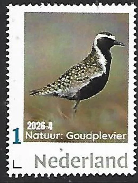 Netherlands 2026-4 Nature: Plover Pacific Plover MNH