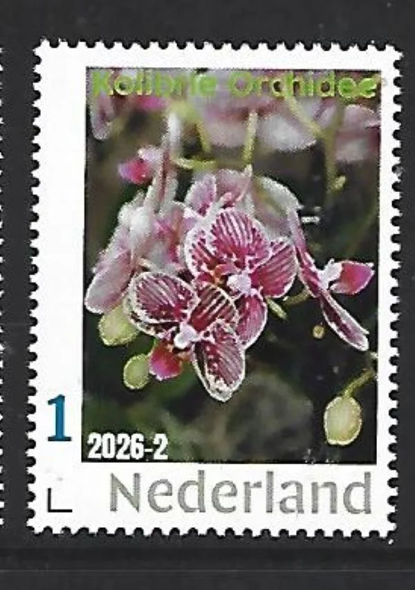 Netherlands 2026-2 Orchid: Hummingbird Orchid MNH