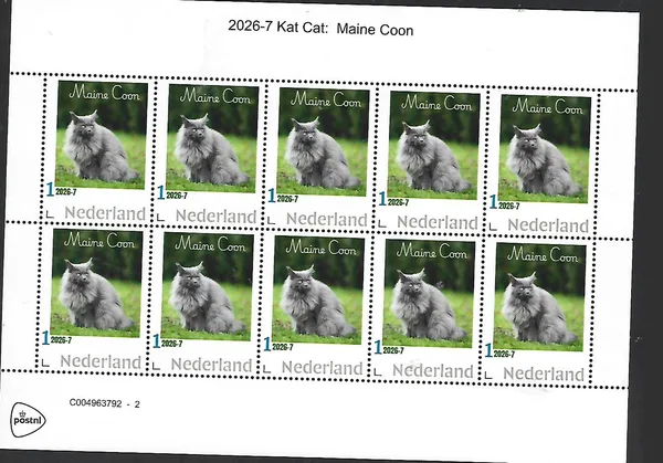 Nederland 2026-7 Kat Cat: Maine Coon kat sheetlet postfris/mnh