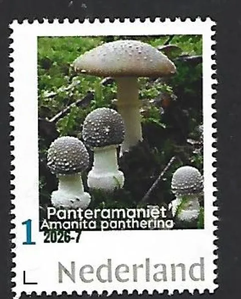 Netherlands 2026-7 Mushroom: Amanita pantheria MNH