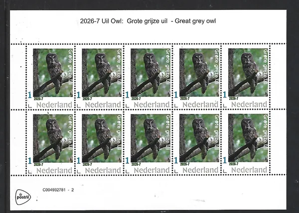 Netherlands 2026-7 Owl: Great grey owl sheet MNH