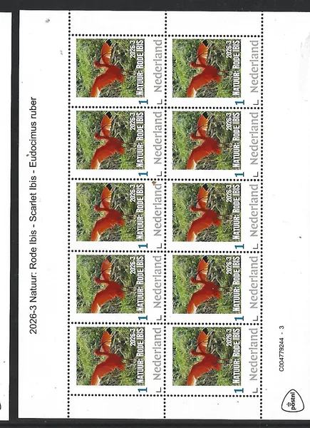 Nederland 2026-3 Natuur Nature: Rode Ibis Scarlet Ibis vogel bird sheet postfris/mnh