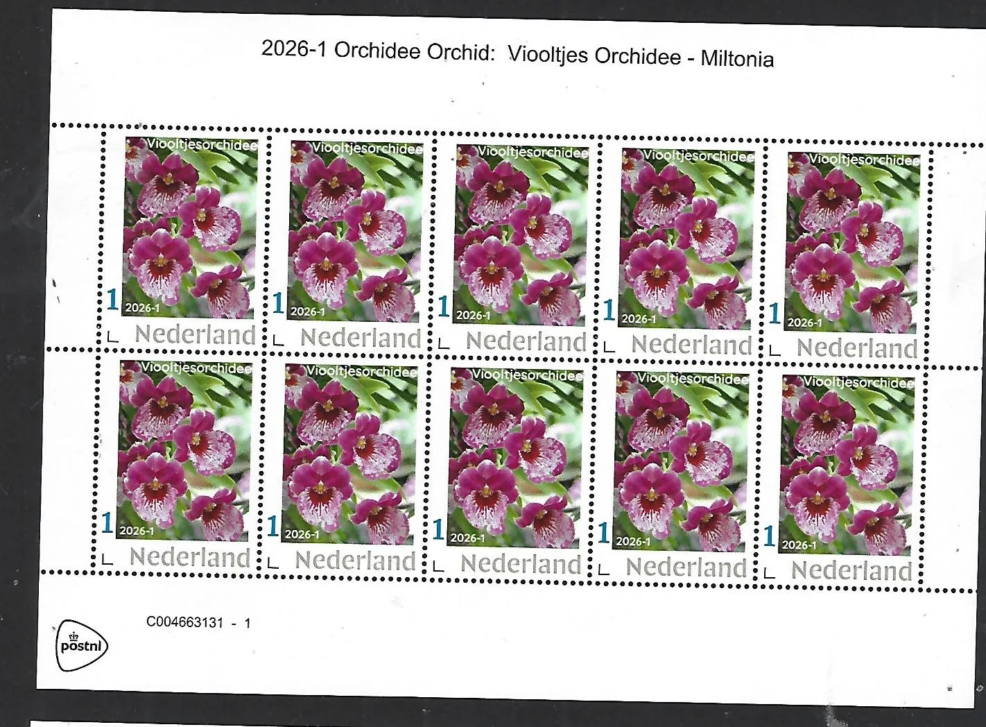 Nederland 2026-1 Orchidee Orchid: Miltonia sheetlet postfris/mnh