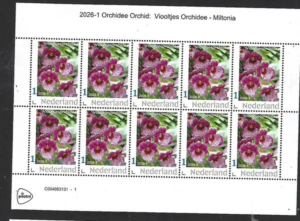 Netherlands 2026-1 Orchid: Miltonia sheetlet MNH