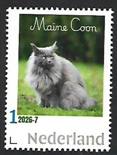 Nederland 2026-7 Kat Cat: Maine Coon kat postfris/mnh