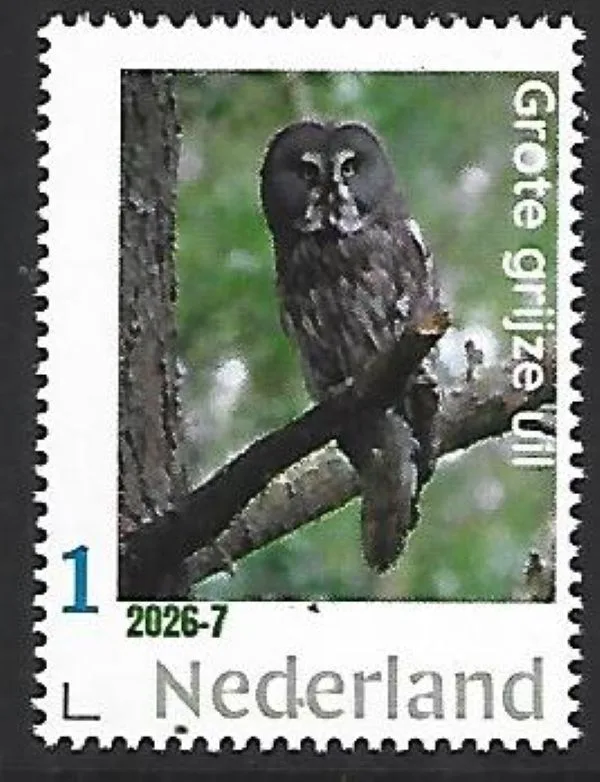 Nederland 2026-7 Uil Owl: Grote grijze uil Great grey owl postfris/mnh