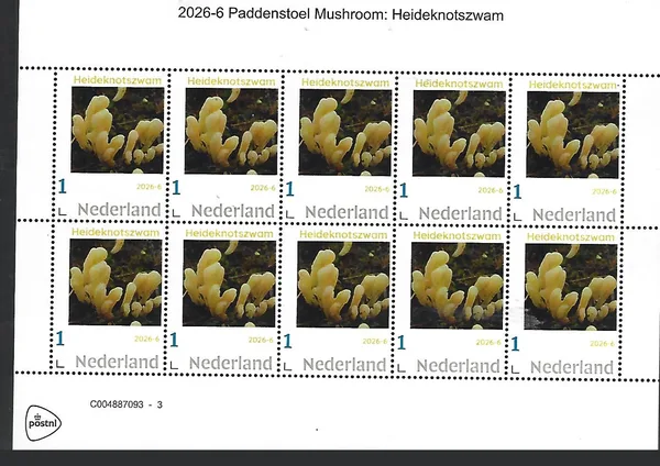 Nederland 2026-6 Paddenstoel Mushroom: Heideknotszwam sheet postfris/mnh