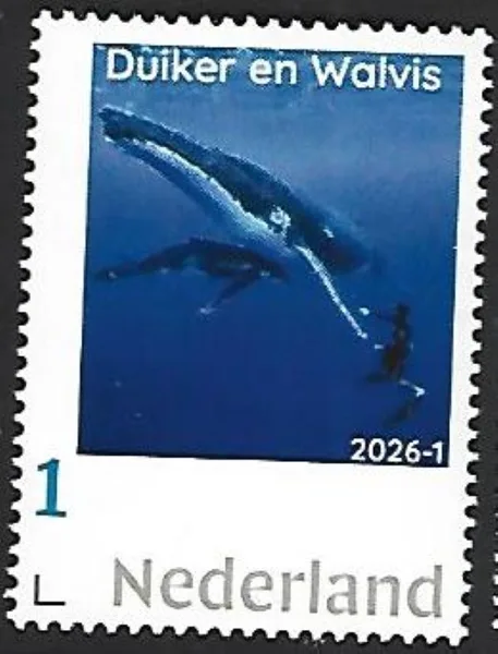 Nederland 2026-1 Duiker Walvis Diver Whale postfris/mnh