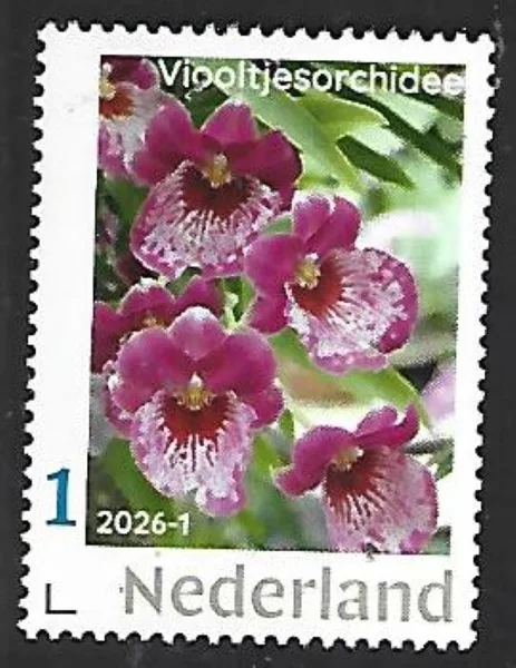 Netherlands 2026-1 Orchid Miltonia MNH