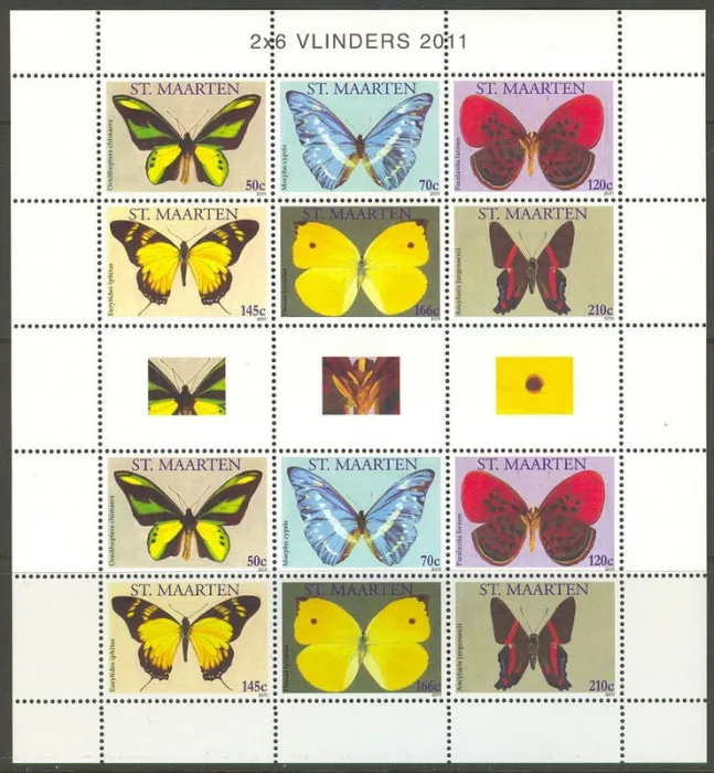 St Maarten V10-15 Butterflies 2011 souvenir sheetlet MNH