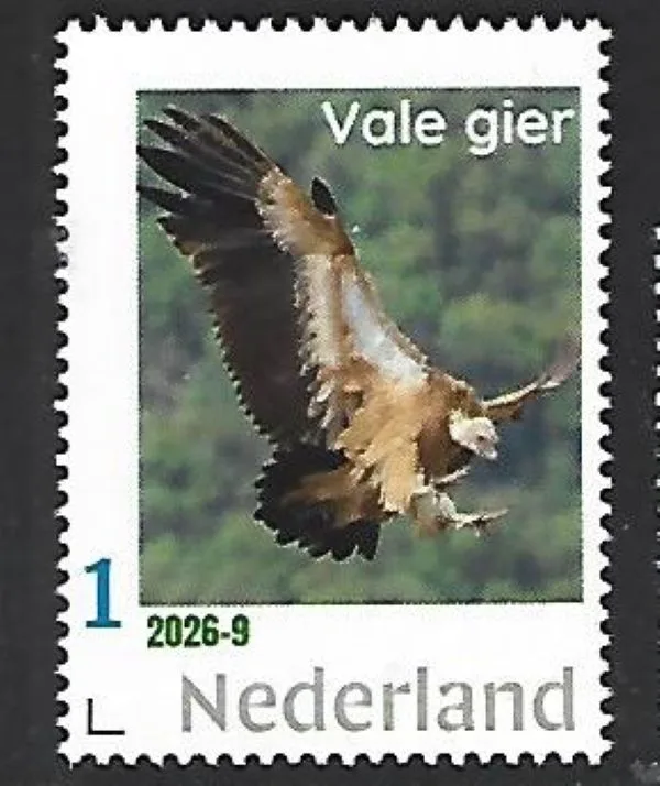 Netherlands 2026-9 Bird of Prey: Griffon Vulture MNH