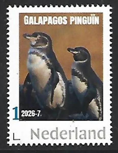 Nederland 2026-7 Pinguïn Penguin: Galapagos pinguïn postfris/mnh