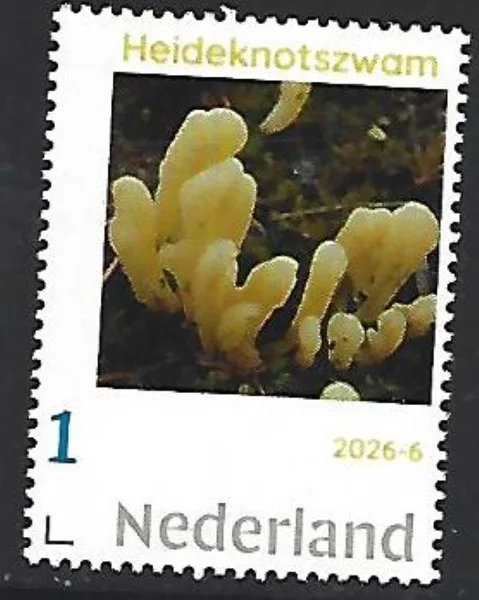 Netherlands 2026-6 Toadstool Mushroom: Heather Earthstar MNH