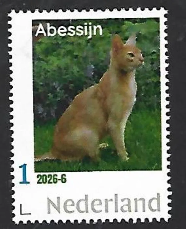 Netherlands 2026-6 Cat: Abyssinian MNH
