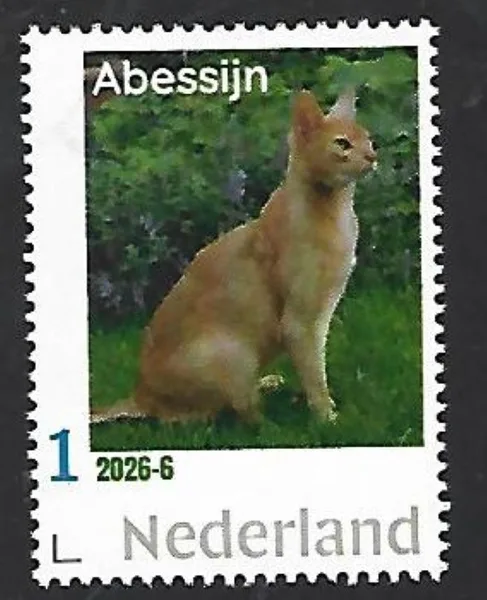 Nederland 2026-6 Kat Cat: Abessijn - Abyssinian postfris/mnh