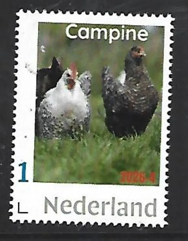 Netherlands 2026-4 Chicken Campine Belgium MNH
