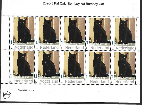 Nederland 2026-5 Kat Cat: Bombay Cat sheetlet postfris/mnh