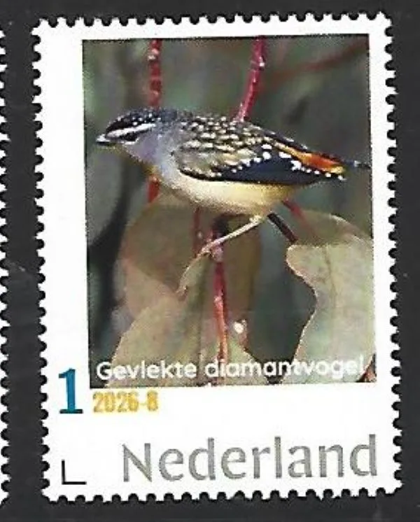 Nederland 2026-8 Vogel Bord: Gevlekte diamantvogel Spotted Pardalote postfris/mnh