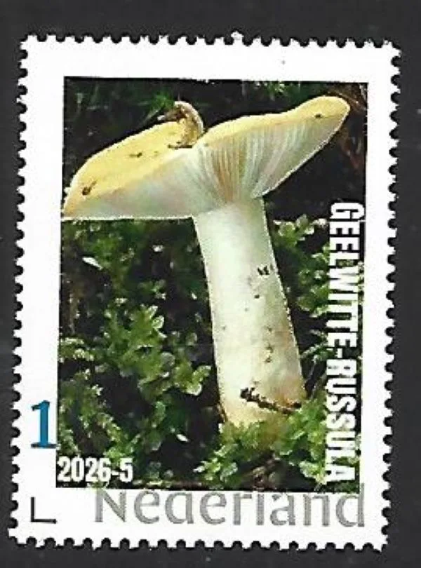 Nederland 2026-5 Paddenstoel Mushroom: Geelwitte russulia postfris/mnh