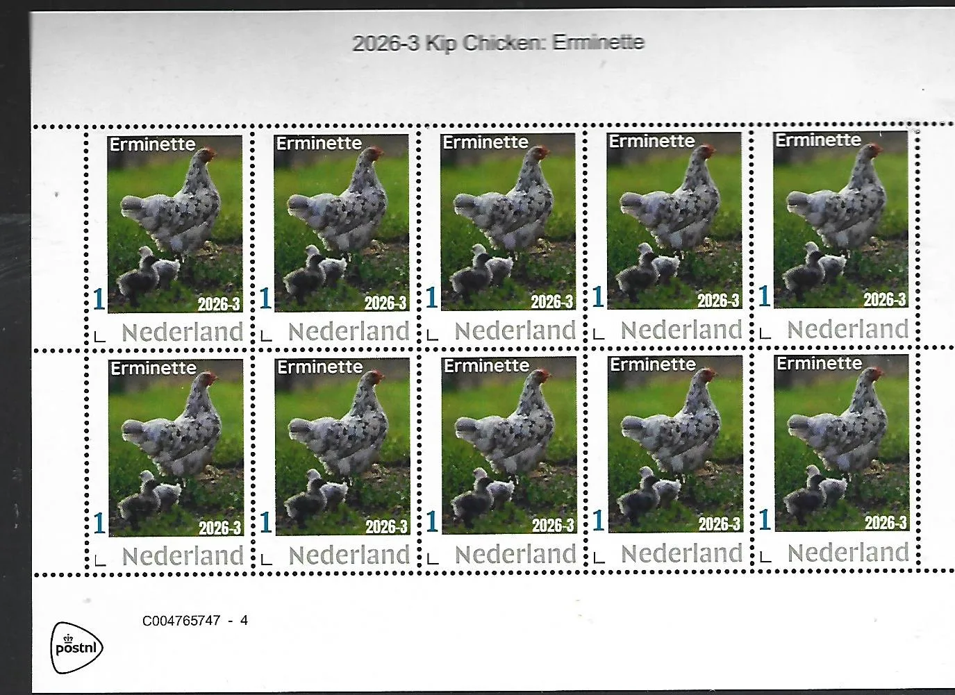 Netherlands 2026-3 Hen Erminette sheet MNH