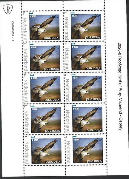 Netherlands 2026-8 Bird of prey: Osprey sheet MNH